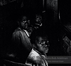 Startled by a Stranger,  Kingstree,  South Carolina  1962