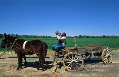 Jug blower Will Henley,  Tishabee,  Alabama  1983-