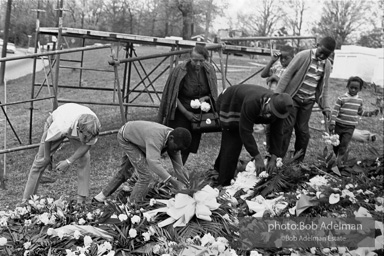 Funeral for Dr. Martin Luther King.Atlanta,GA.1968