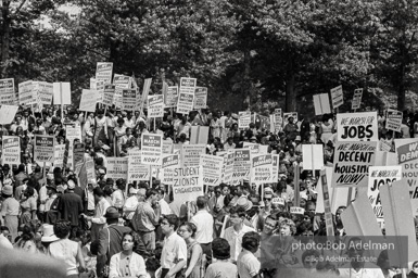 protestors mass at the foot of the  Lincoln Memorial,  Washington, D.C. August 28, 1963.