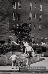 Kew Gardens Park. Jamaica, Queens, N.Y. 1968