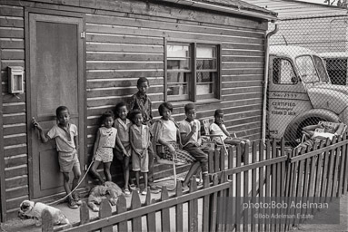 South Jamaica, Queens, N.Y. 1968