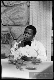 Sidney Poitier. For Love Of Ivy, 1968