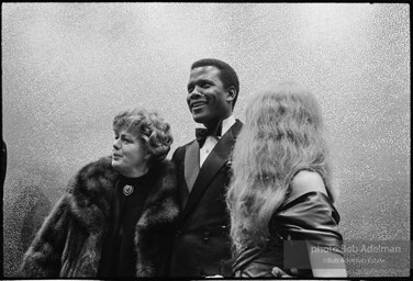 Sidney Poitier. For Love Of Ivy, 1968