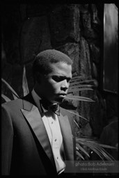 Sidney Poitier. For Love Of Ivy, 1968