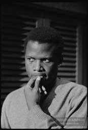 Sidney Poitier. For Love Of Ivy, 1968