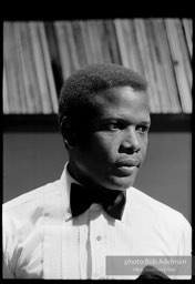 Sidney Poitier. For Love Of Ivy, 1968