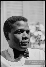 Sidney Poitier. For Love Of Ivy, 1968