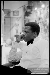 Sidney Poitier. For Love Of Ivy, 1968