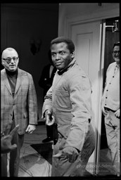 Sidney Poitier. For Love Of Ivy, 1968