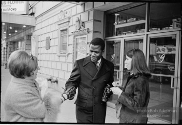 Sidney Poitier. For Love Of Ivy, 1968