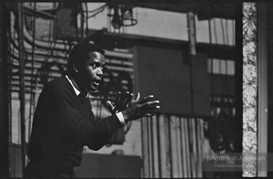 Sidney Poitier. For Love Of Ivy, 1968