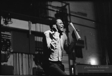 Sidney Poitier. For Love Of Ivy, 1968