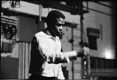 Sidney Poitier. For Love Of Ivy, 1968