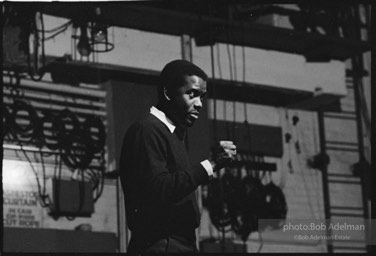 Sidney Poitier. For Love Of Ivy, 1968