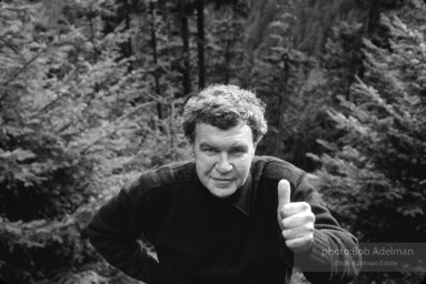 Raymond Carver. Olympic Mountains, Washington. 1984.