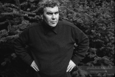 Raymond Carver. Olympic Mountains, Washington. 1984.