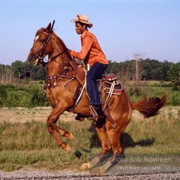 Champion show horse shows off, Epes, Alabama 1983 - From the LIFE magazine story Artists of the Black Belt, 1983.