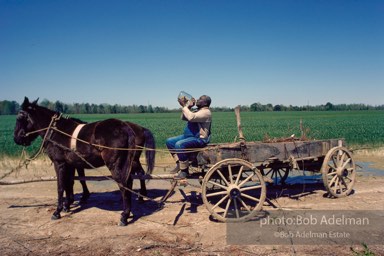 Jug blower Will Henley, Tishabee, Alabama 1983- Jug blower Will Henley, Tishabee, Alabama 1983-
