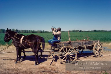 Jug blower Will Henley, Tishabee, Alabama 1983-