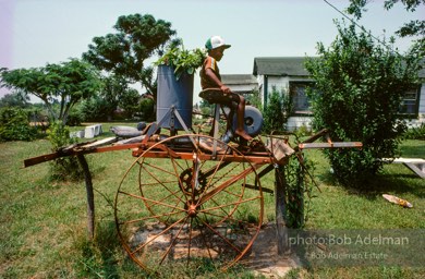 Yard Art.- From the LIFE magazine story Artists of the Black Belt, 1983.