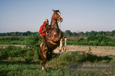 Champion show horse shows off, Epes, Alabama 1983 - From the LIFE magazine story Artists of the Black Belt, 1983.