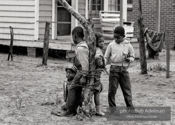 Strange fruit, Children playing a lynching game, Sumter, SC 1962