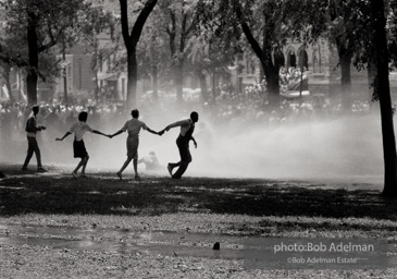 Demonstrators hold on to one another to face the full force of the firehoses which peeled the bark of the trees, Kelly Ingram Park,  Birmingham,  Alabama.  June, 1963.