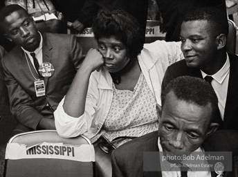 Members of the Mississippi Freedom Democratic Party sitting in the seats of the Mississippi delegation on the
floor of the Democratic National Convention, Atlantic City, NJ 1964