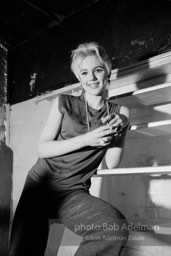 Edie Sedgwick on the steps leading
to Billy Name’s sleeping quarters
at the Factory. 1965.