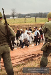 Selma_009 001